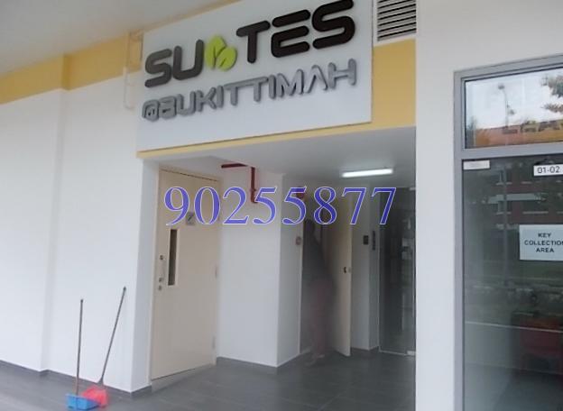 Suites @ Bukit Timah (D21), Apartment #155996372